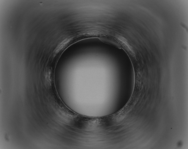 X0000096730116200802121324
