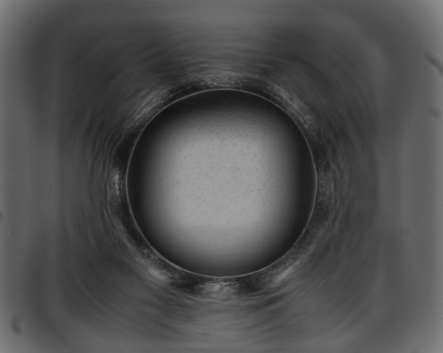 X0000096730117200802121324