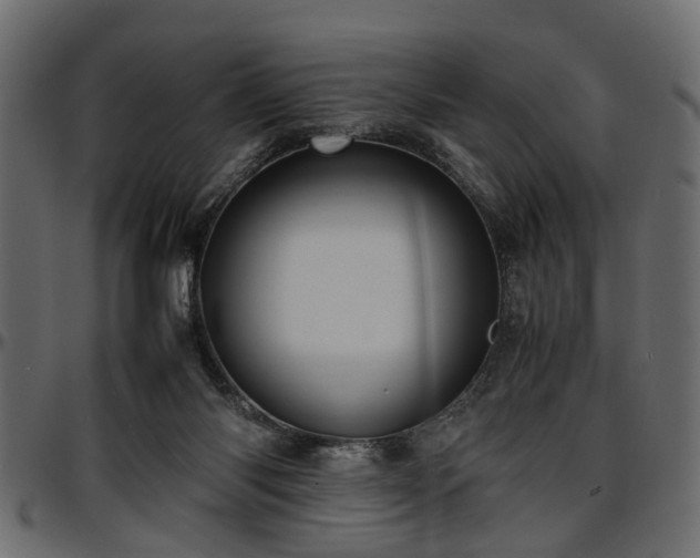 X0000096730118200802121324