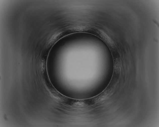 X0000096730119200802121324