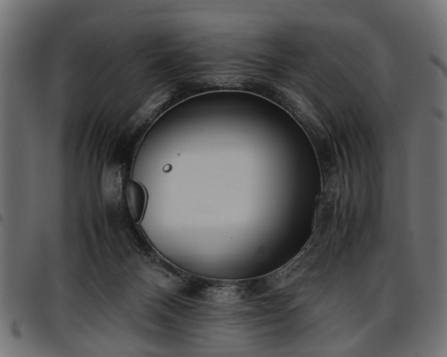 X0000096730120200802121324