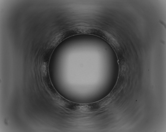 X0000096730121200802121324