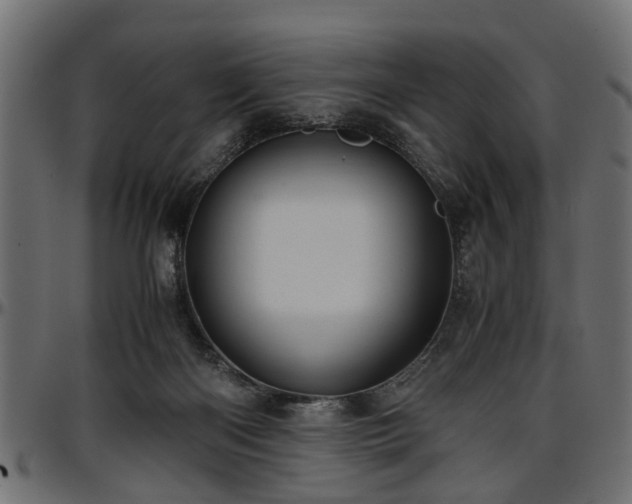 X0000096730122200802121324