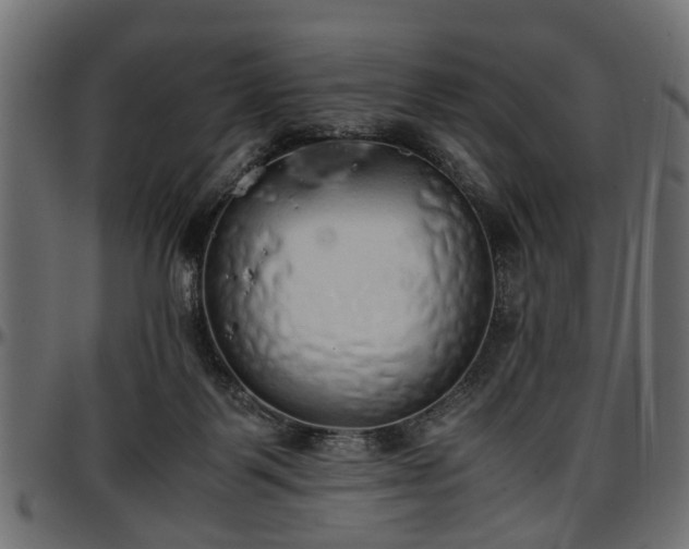 X0000096730123200802121324