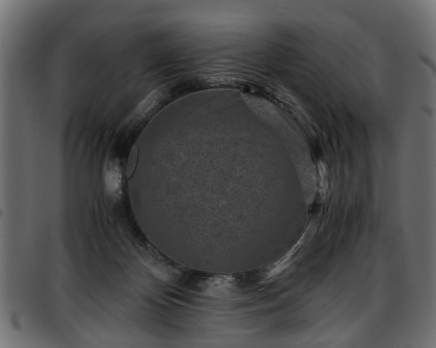 X0000096730124200802121324