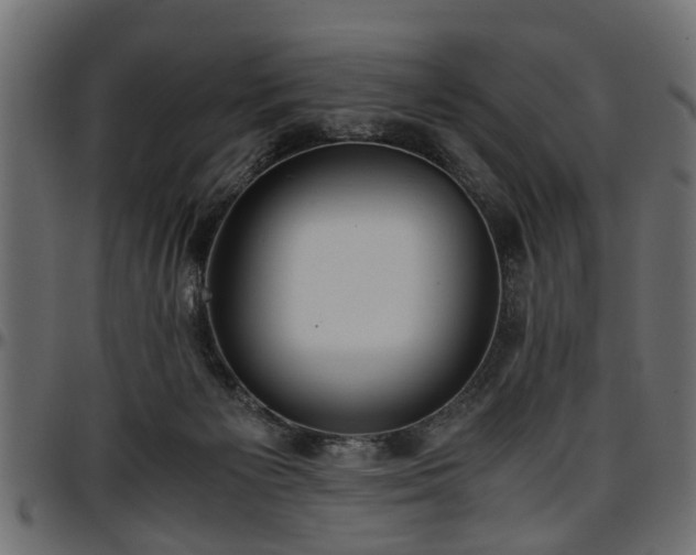 X0000096730125200802121324