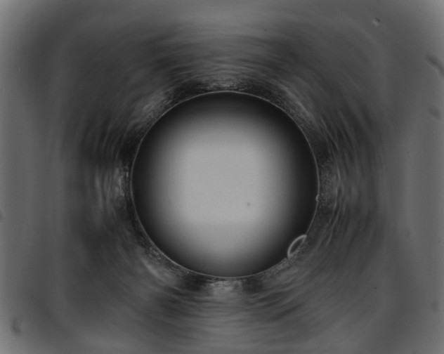 X0000096730126200802121324
