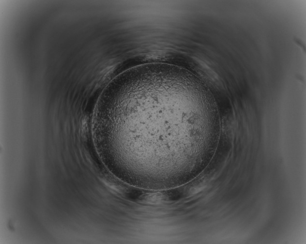 X0000096730127200802121324