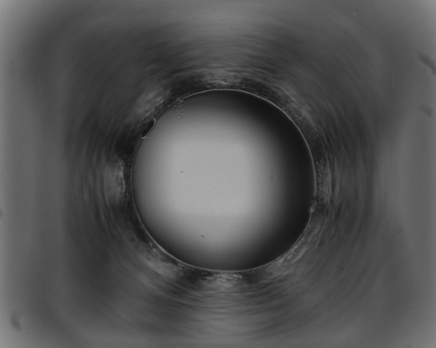X0000096730128200802121324