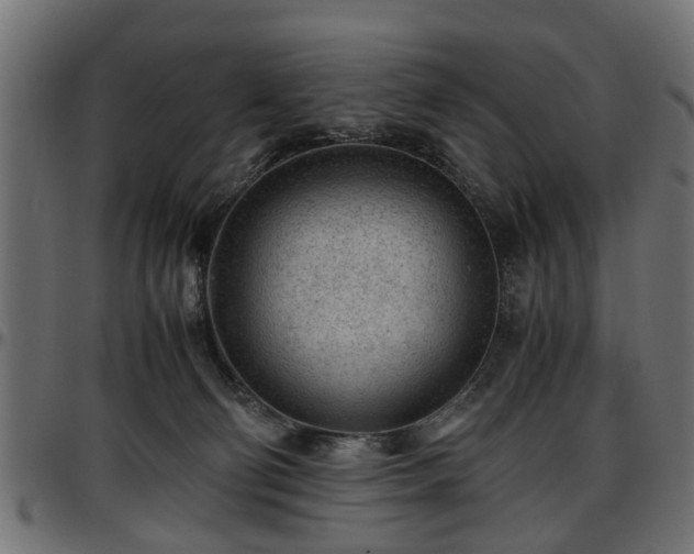 X0000096730130200802121324