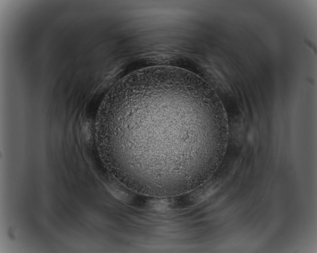 X0000096730131200802121324