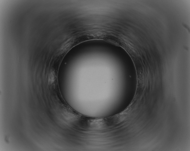 X0000096730132200802121324