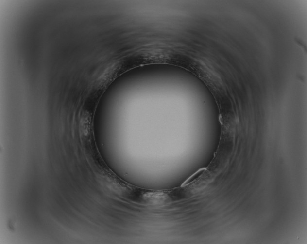 X0000096730133200802121323