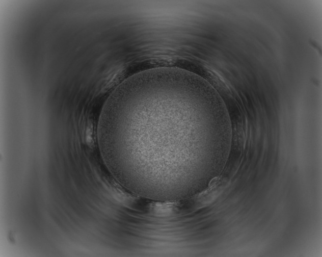X0000096730134200802121323