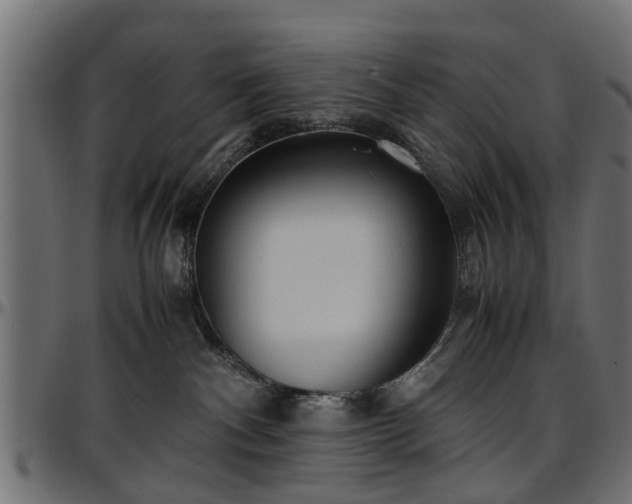 X0000096730140200802121323
