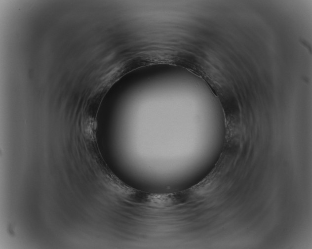 X0000096730141200802121323