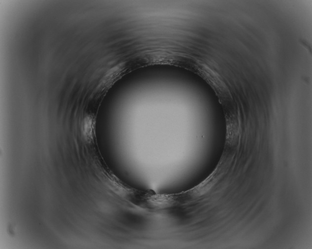 X0000096730142200802121323