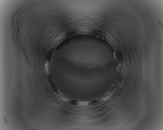 X0000096730143200802121323