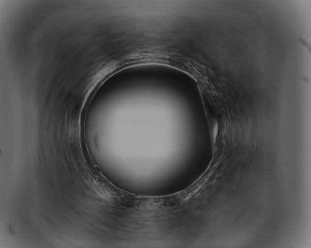 X0000096730148200802121323