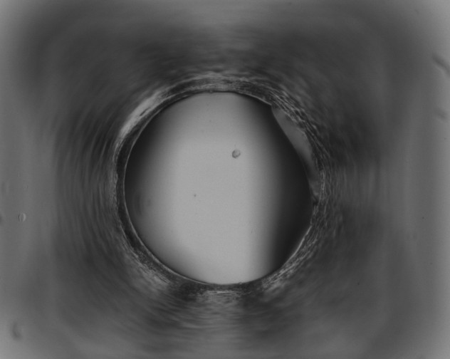 X0000096730150200802121323