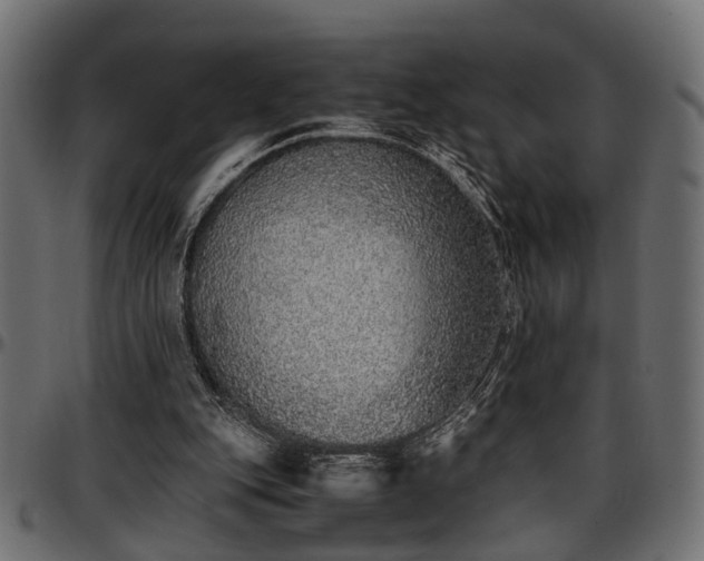 X0000096730151200802121323