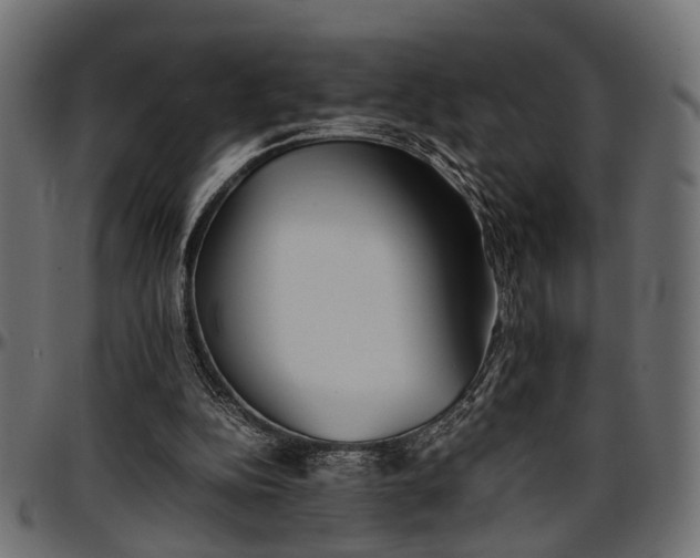 X0000096730152200802121323