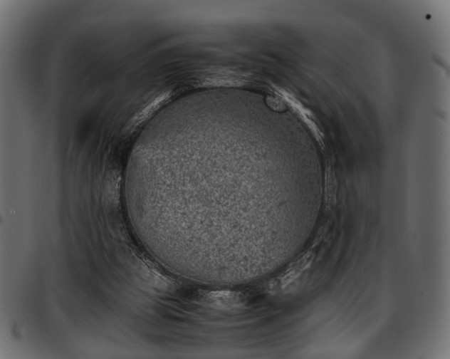 X0000096730153200802121323