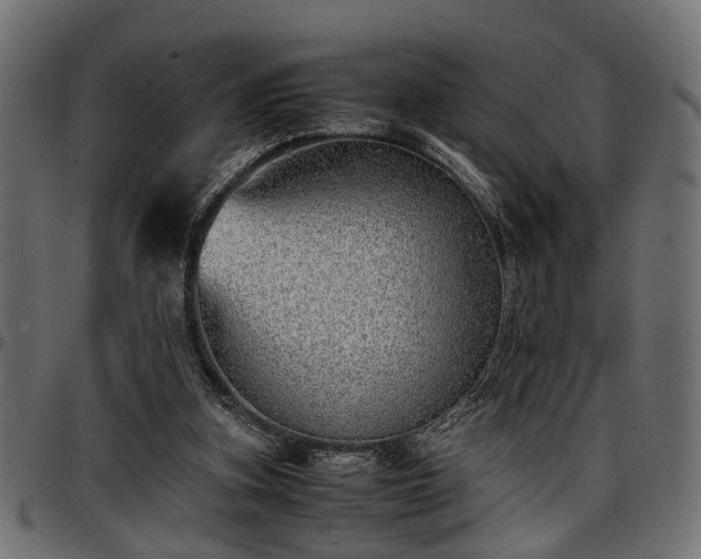 X0000096730155200802121323