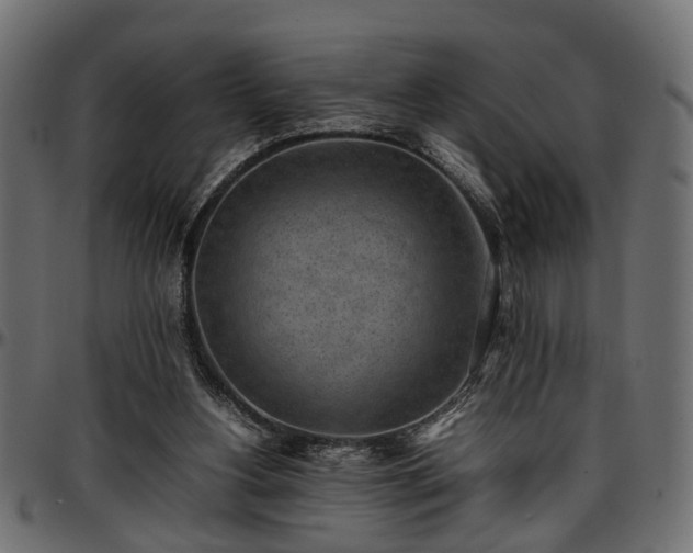 X0000096730156200802121323