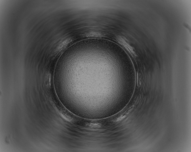 X0000096730157200802121323