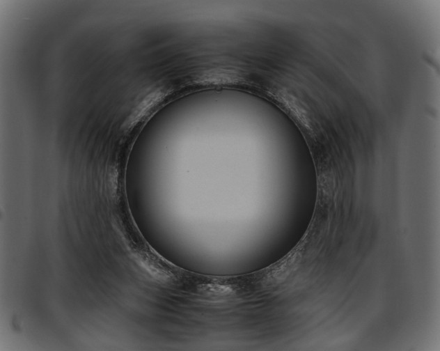 X0000096730159200802121323