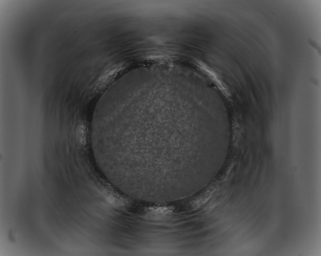 X0000096730161200802121323