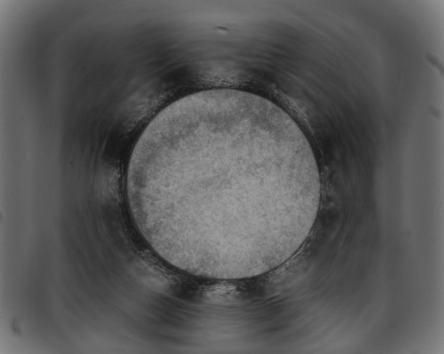 X0000096730162200802121323