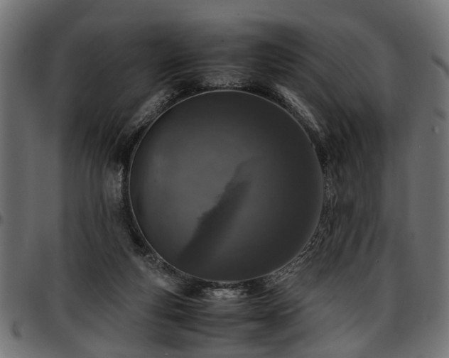 X0000096730163200802121323