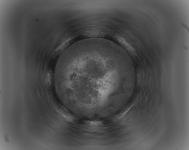 X0000096730165200802121323