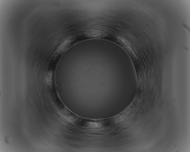 X0000096730167200802121323