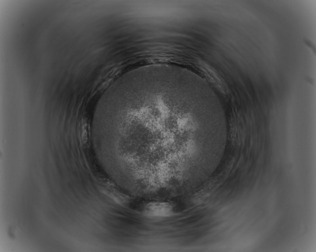 X0000096730169200802121323