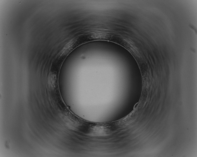 X0000096730171200802121323
