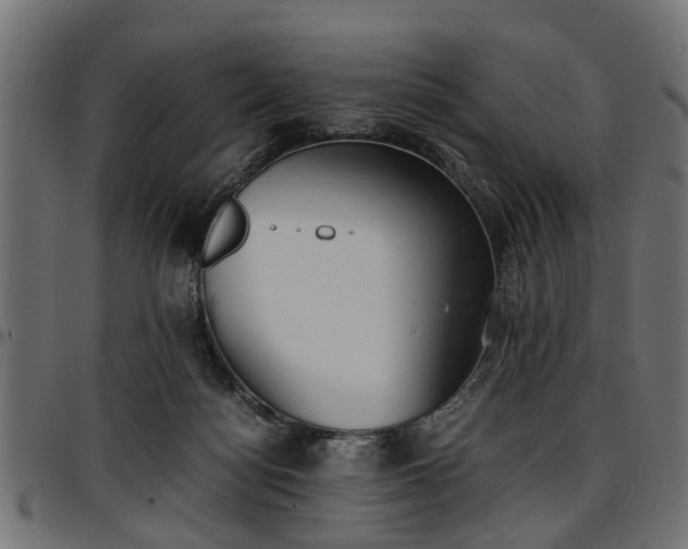 X0000096730172200802121323