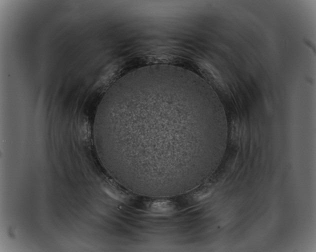 X0000096730173200802121323