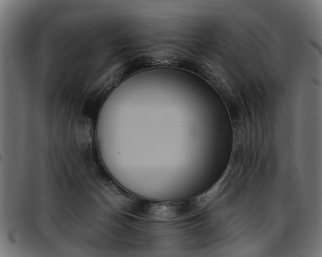 X0000096730174200802121323