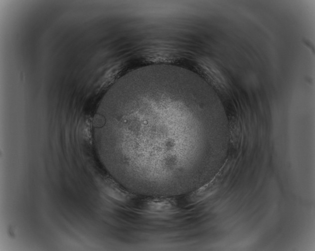 X0000096730175200802121323