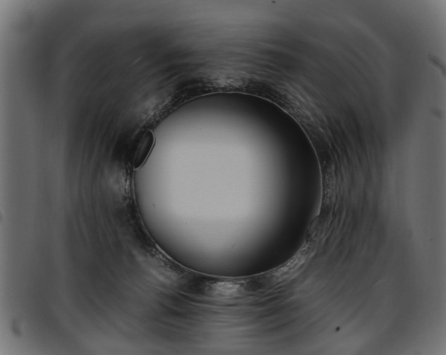 X0000096730176200802121323