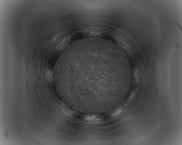 X0000096730177200802121323