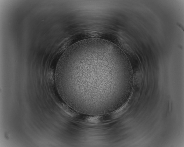 X0000096730178200802121323