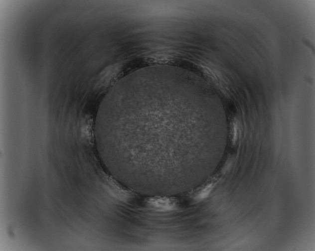 X0000096730181200802121323