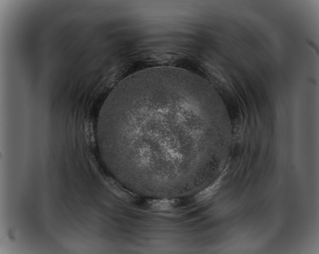 X0000096730182200802121323