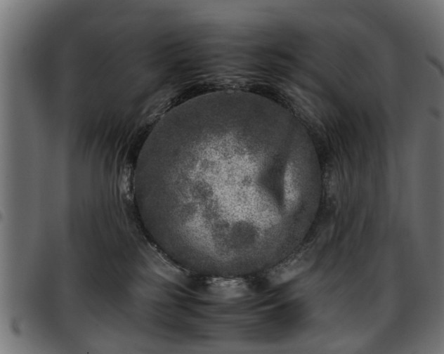 X0000096730185200802121323