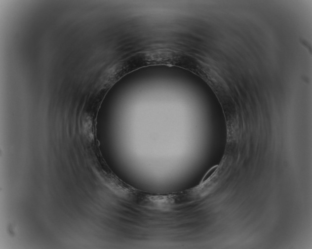 X0000096730187200802121323