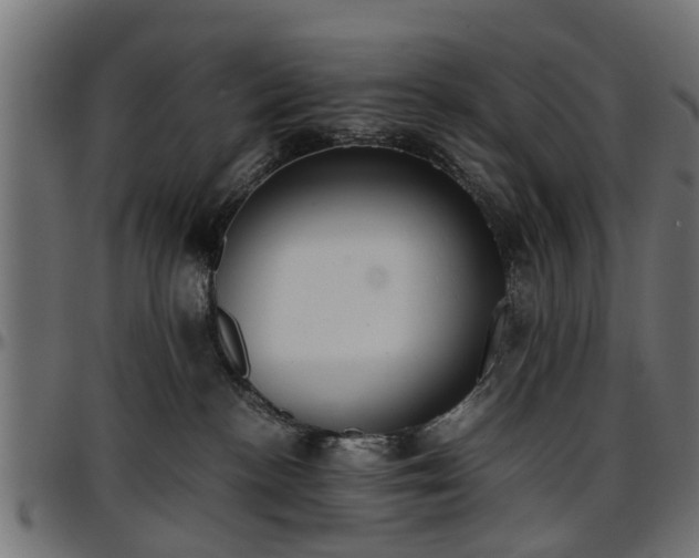 X0000096730188200802121323